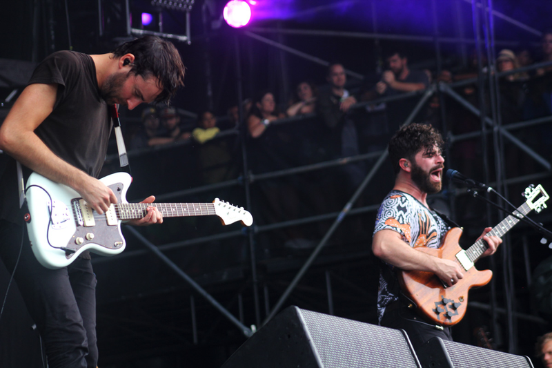 Foals